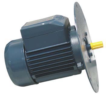 MOTORE PER VENTOLA CON FLANGIA 230V./50HZ. KW 0,45 ALBERO 12mm 0,60HP-2900 GIRI